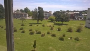 wp_20161014_12_22_22_pro